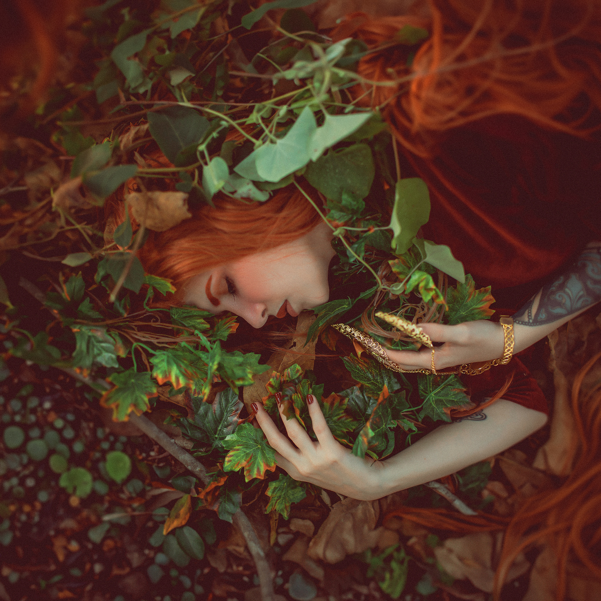 fada dormindo na floresta
