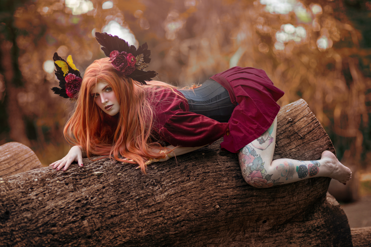 Faa agarrada em um tronco de arvore na floresta