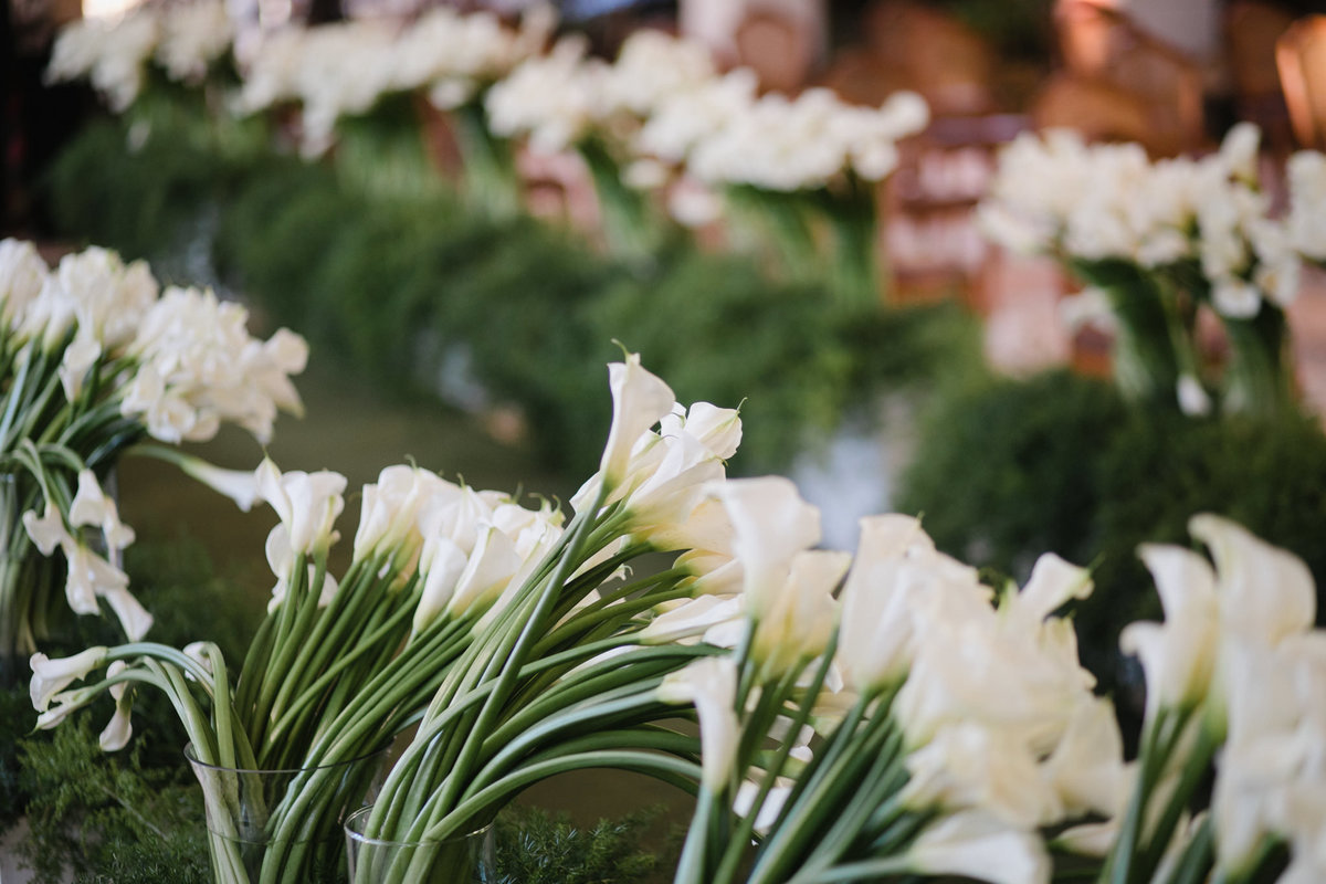 fotos de casamento feito no Recanto das Águas feito pelo fotógrafo de casamento Rafael Ohana em Brasilia-DF