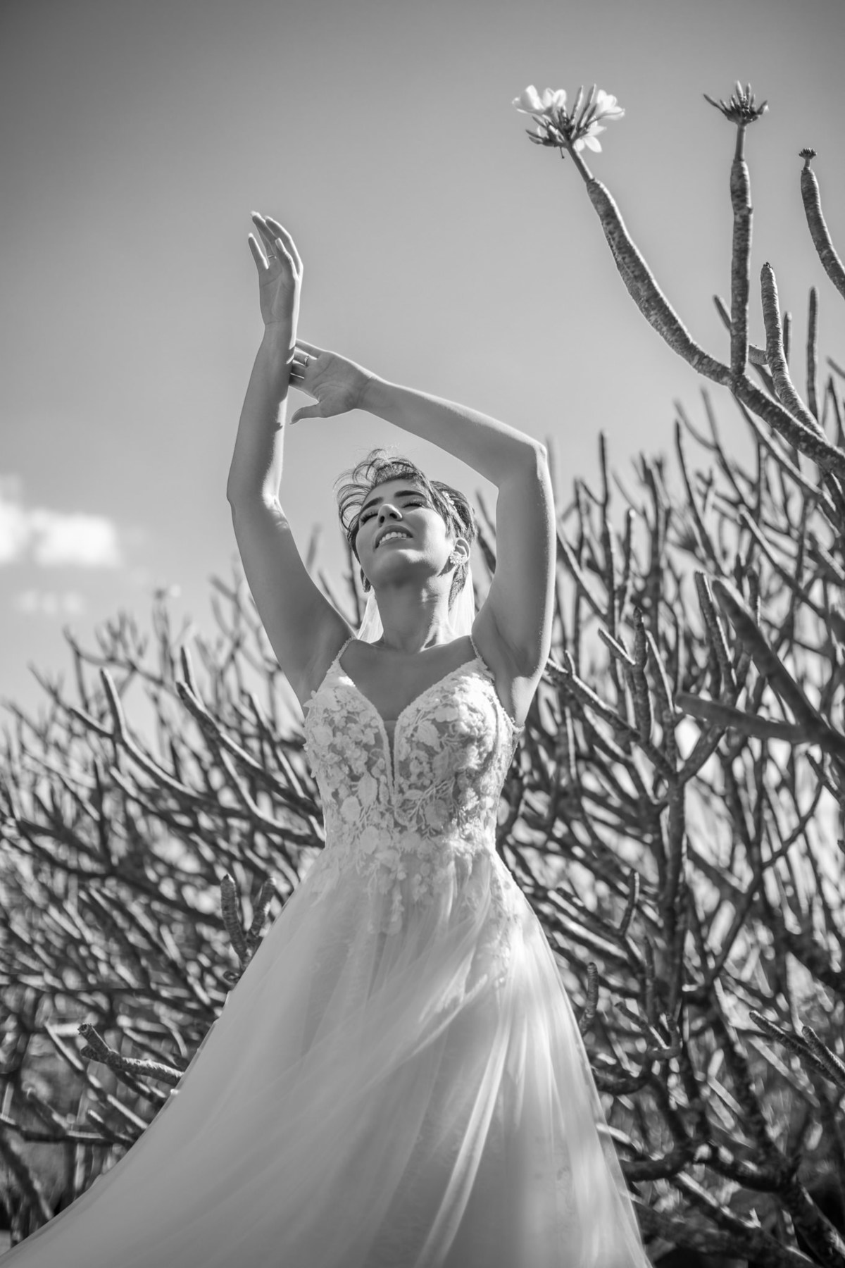 Prévia de noiva feito pelo fotógrafo de casamento Rafael Ohana no Jardim Botânico de Brasília