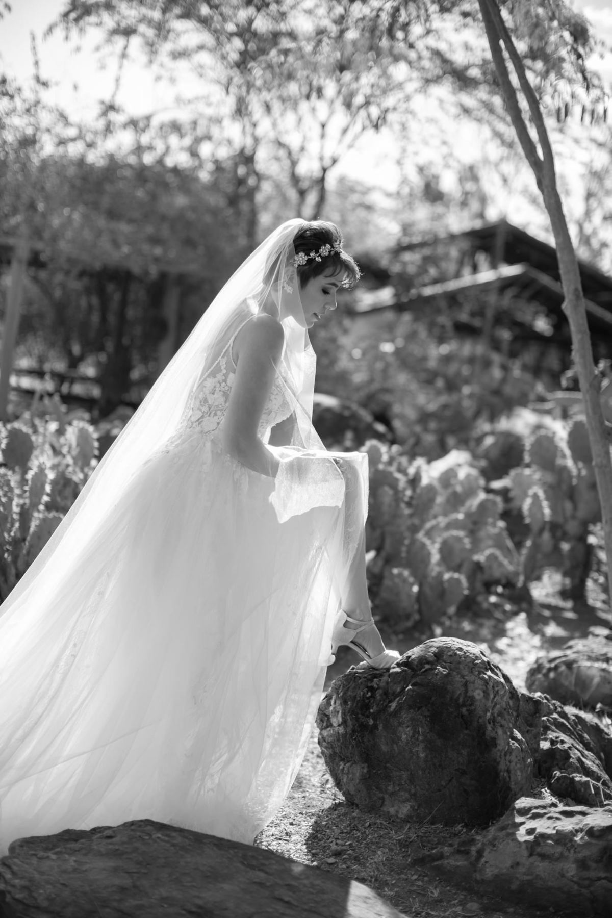 Prévia de noiva feito pelo fotógrafo de casamento Rafael Ohana no Jardim Botânico de Brasília