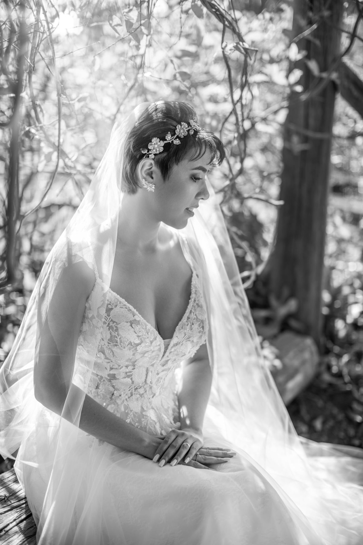 Prévia de noiva feito pelo fotógrafo de casamento Rafael Ohana no Jardim Botânico de Brasília