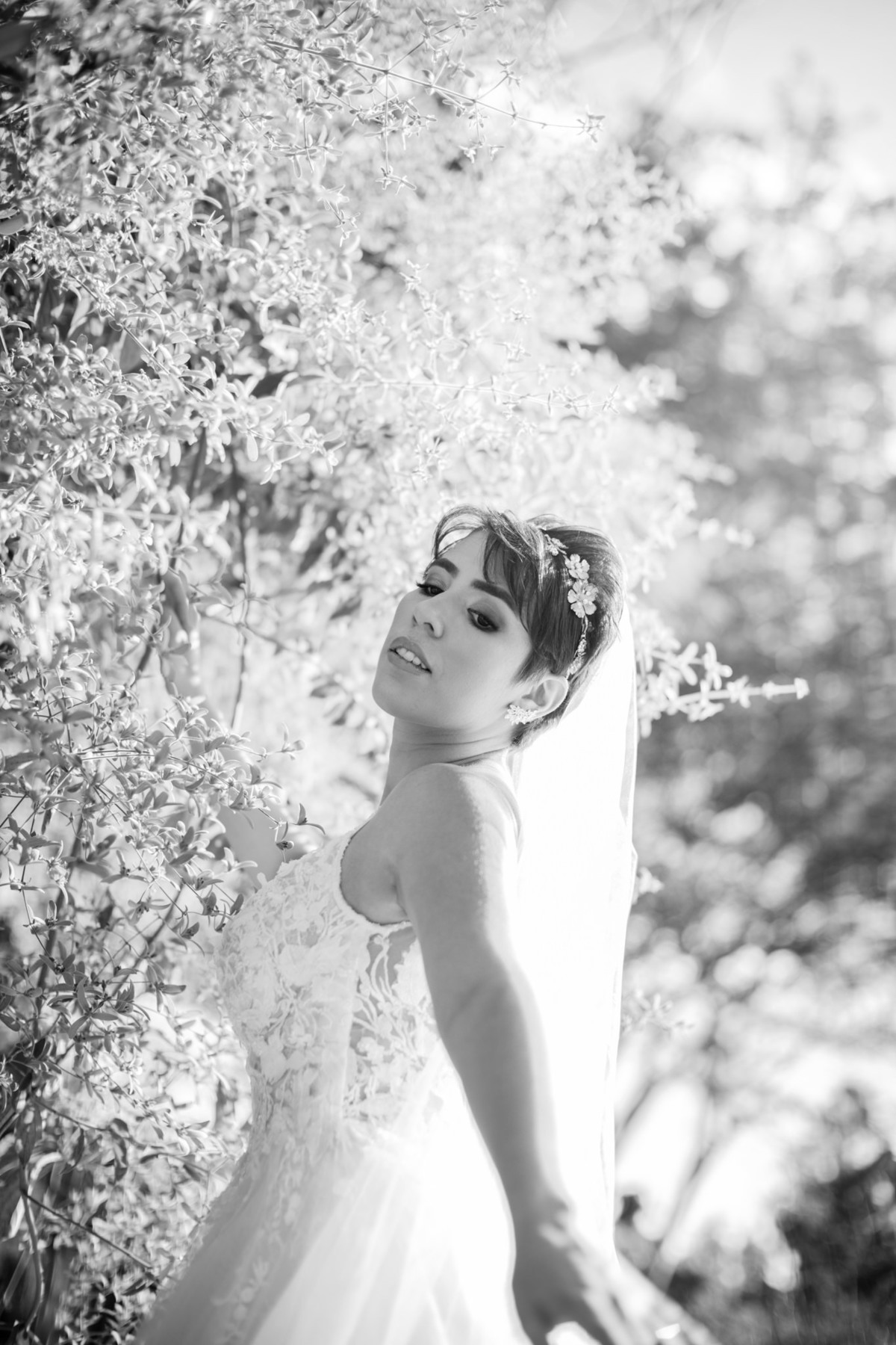 Prévia de noiva feito pelo fotógrafo de casamento Rafael Ohana no Jardim Botânico de Brasília