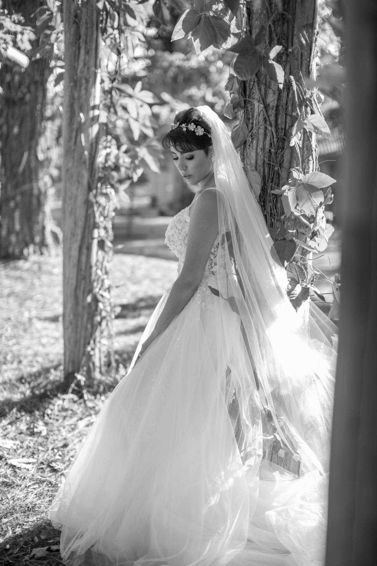 Prévia de noiva feito pelo fotógrafo de casamento Rafael Ohana no Jardim Botânico de Brasília