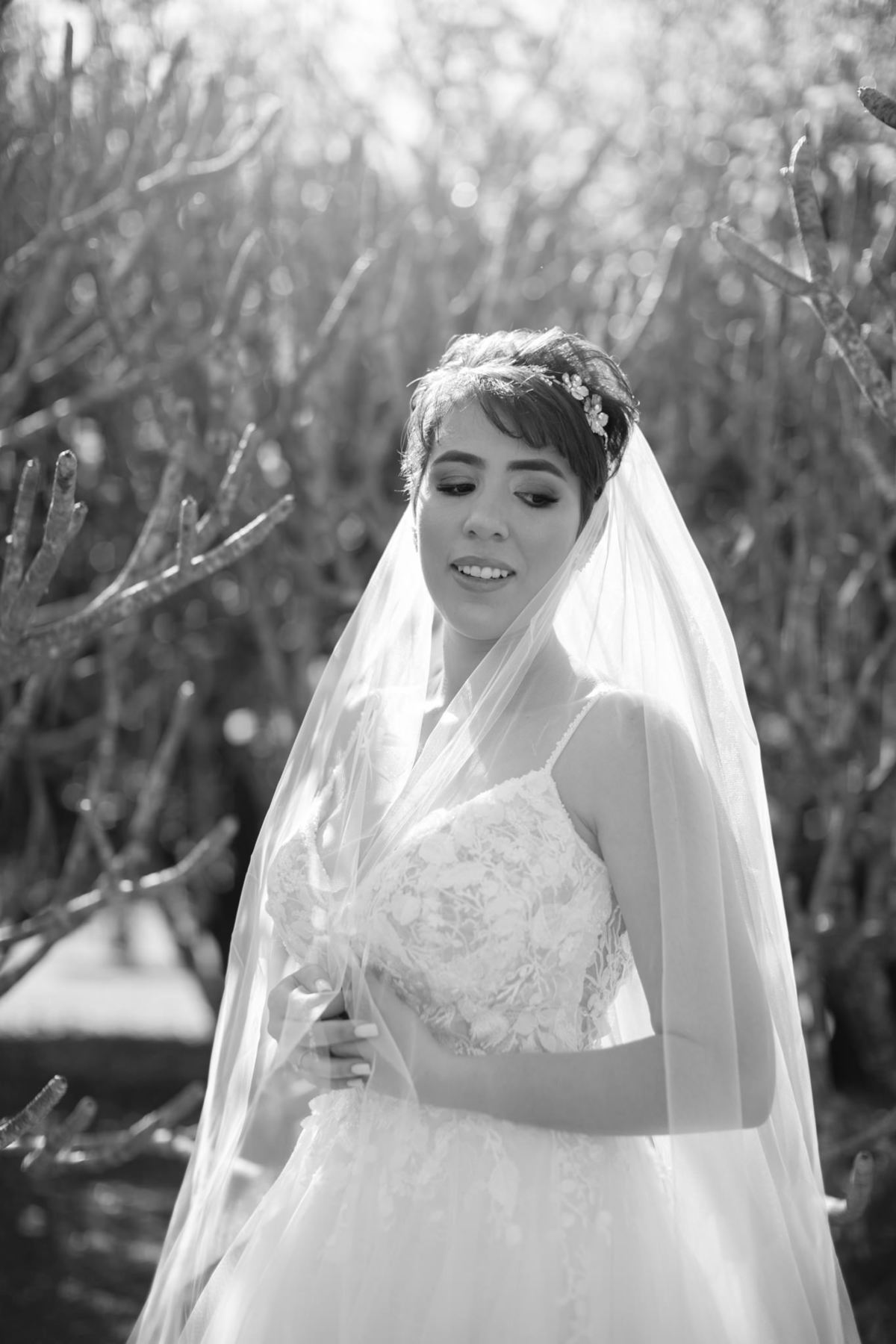 Prévia de noiva feito pelo fotógrafo de casamento Rafael Ohana no Jardim Botânico de Brasília