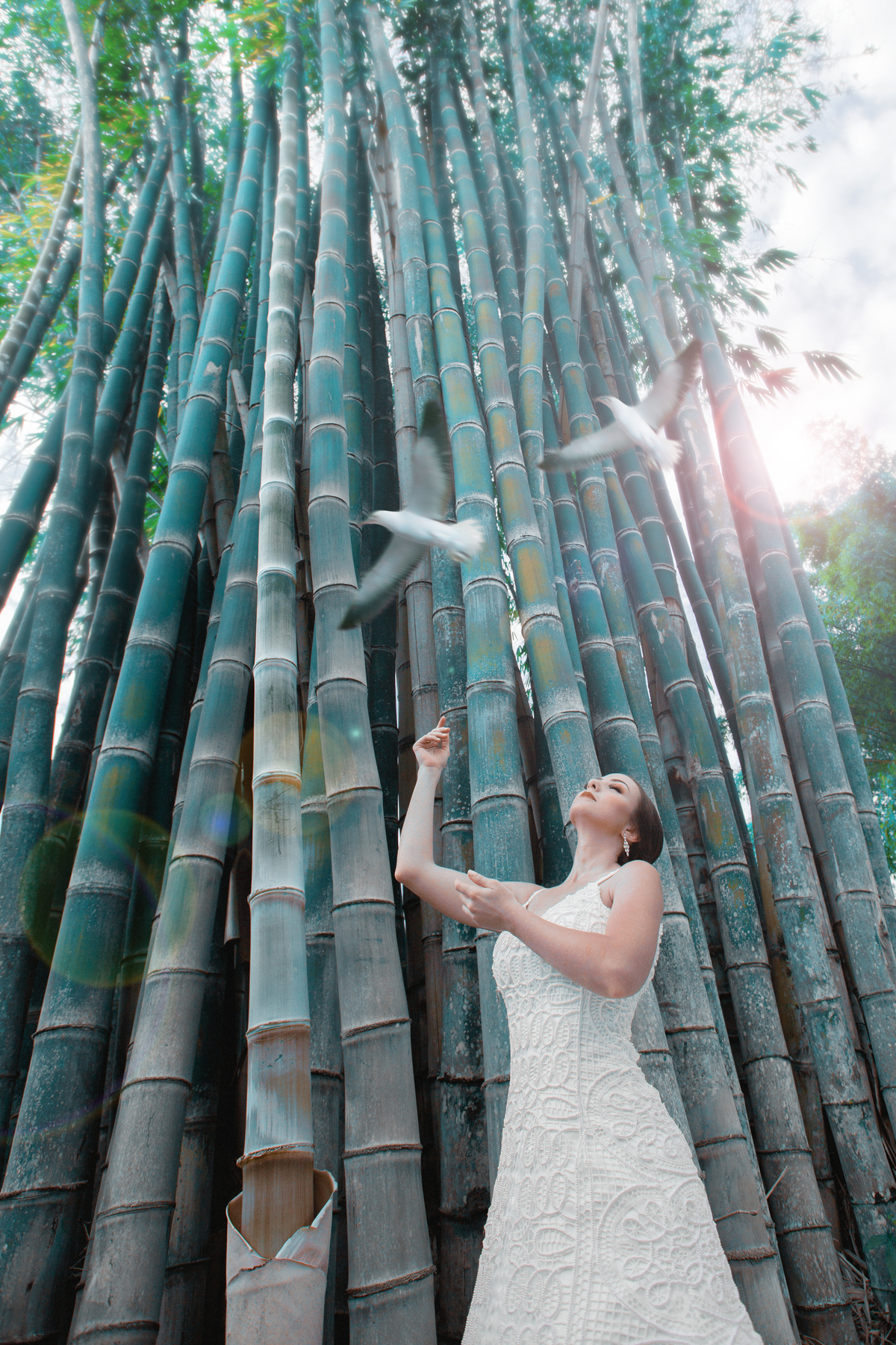 Noiva brincando com pássaros com bambus ao fundo. Foto feita pelo fotógrafo de casamento Rafael Ohana