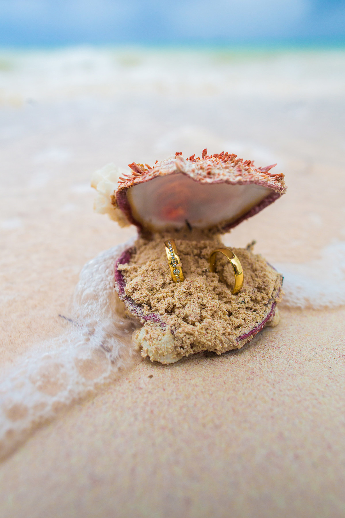 Alianças de noivos em concha. Ensaio day after na praia realizado no resort Barceló Bávaro Palace na República Dominicana pelo fotógrafo de casamento Rafael Ohana