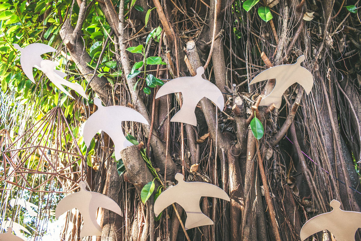 Decoração de casamento em Hotel Brasília Palace. Foto feita pelo fotógrafo de casamento Rafael Ohana em Brasília-DF. Decoração de Virgínia D´Arc