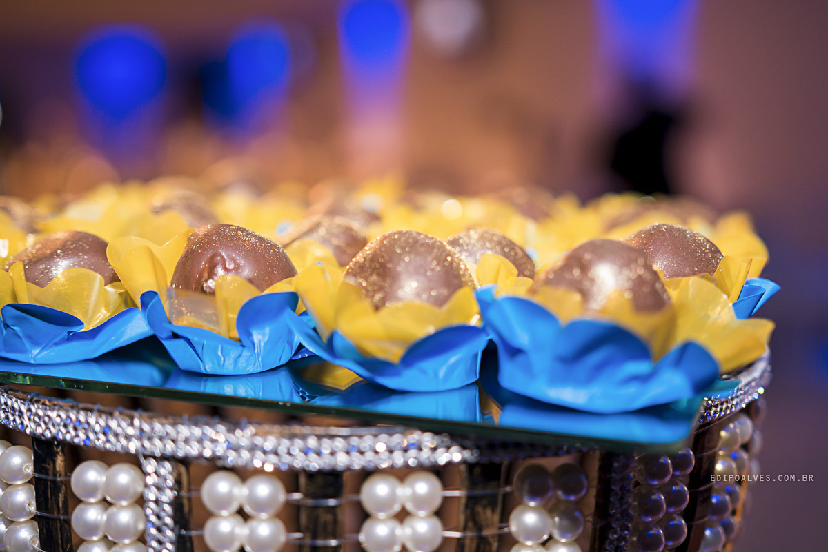 Festa de 15 anos tema bela e a fera