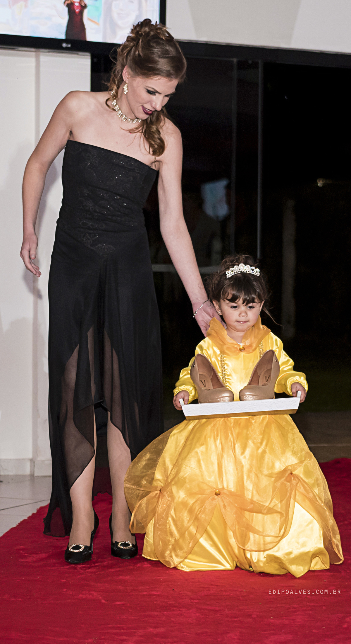 Festa de 15 anos tema bela e a fera