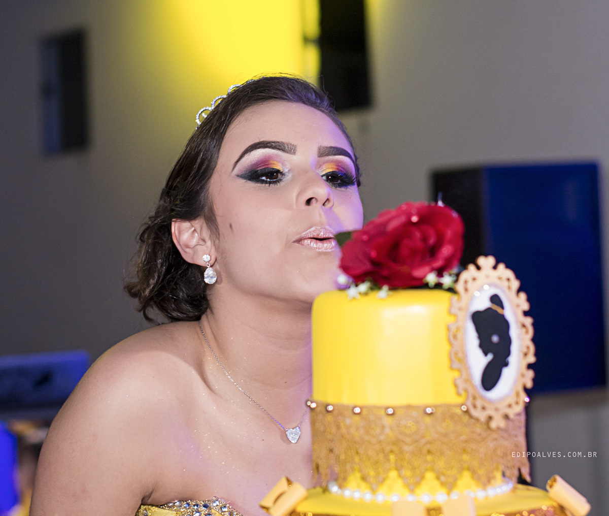 Festa de 15 anos tema bela e a fera