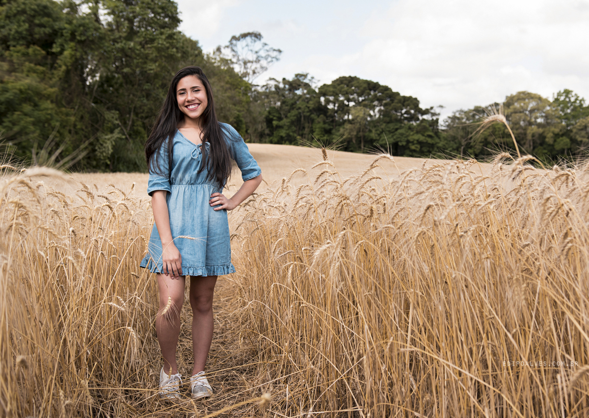 ensaio 15 anos em campo de trigo