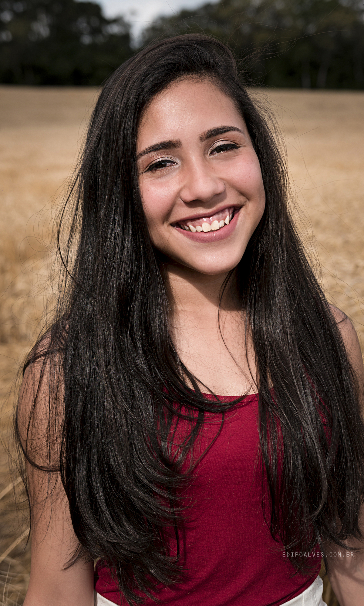 ensaio 15 anos em campo de trigo