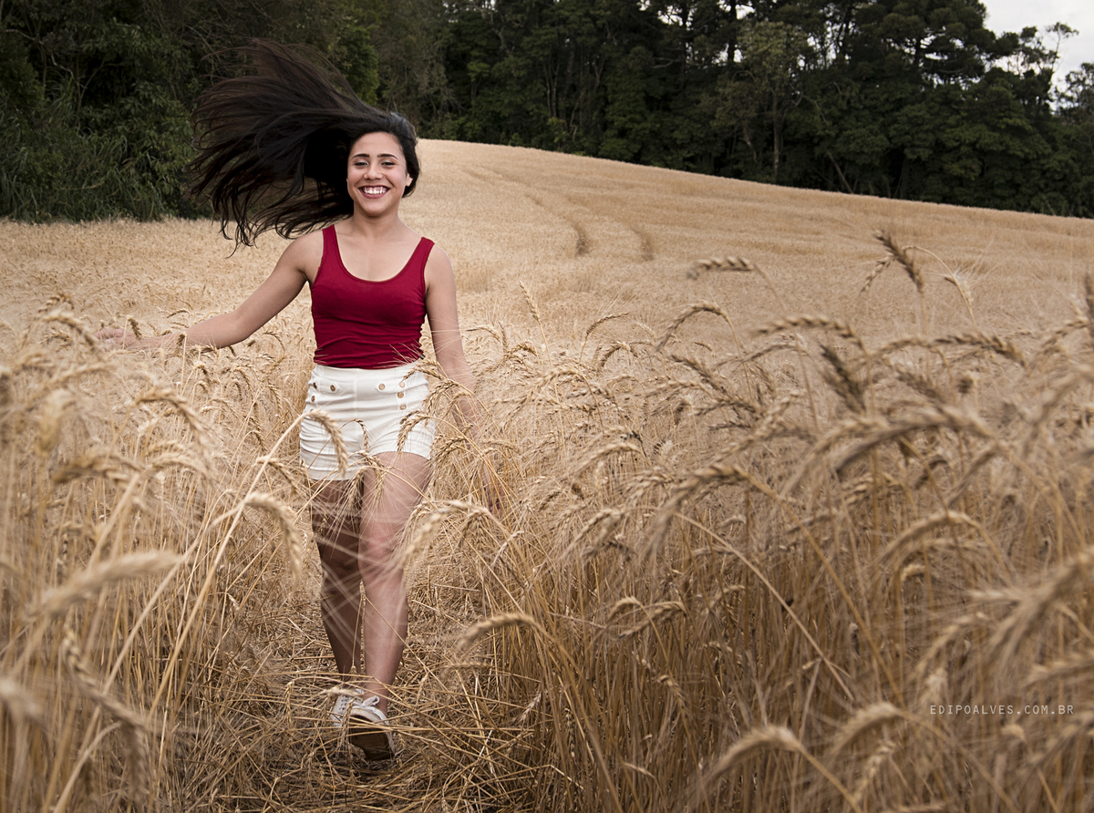 ensaio 15 anos em campo de trigo