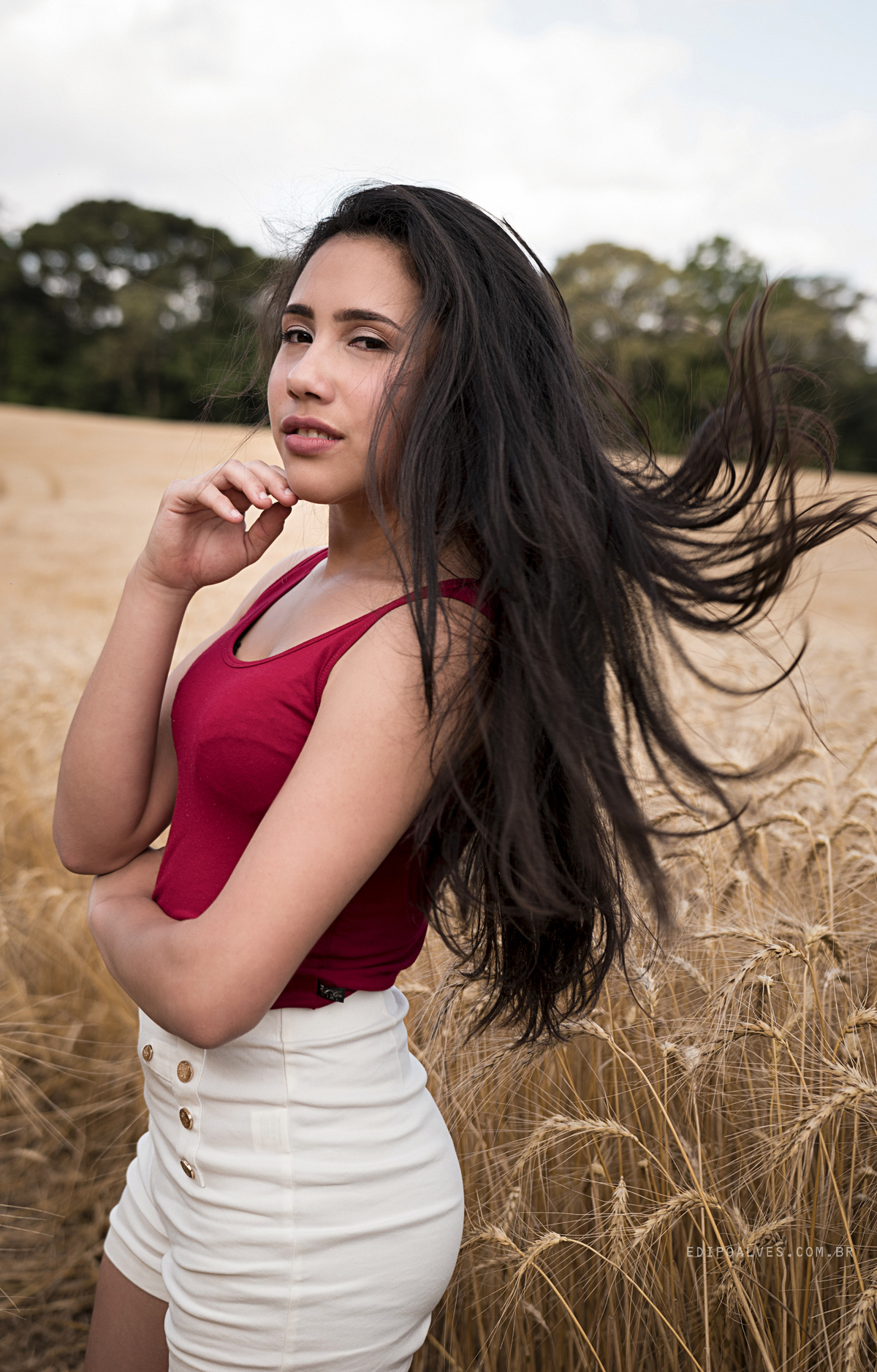 ensaio 15 anos em campo de trigo