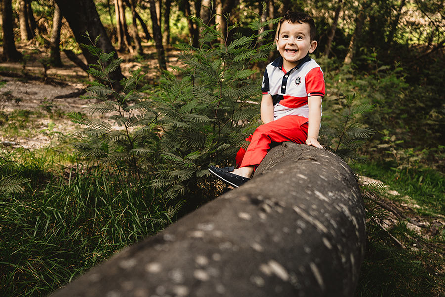menino sentado árvore
