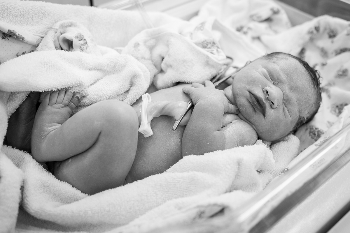 fotografia de parto, nascimento, alegria, amor, família, emoção, parto cesárea, maternidade são josé, rio de janeiro, mãe de menina, pai de menina, registro, vida, fofura, newborn, baby, bebe, recém 