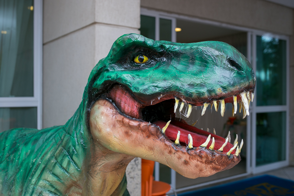 festa infantil, rio de janeiro, festa de menino, dinossauros, decoração, família, bolo, parabéns, fotografia de família