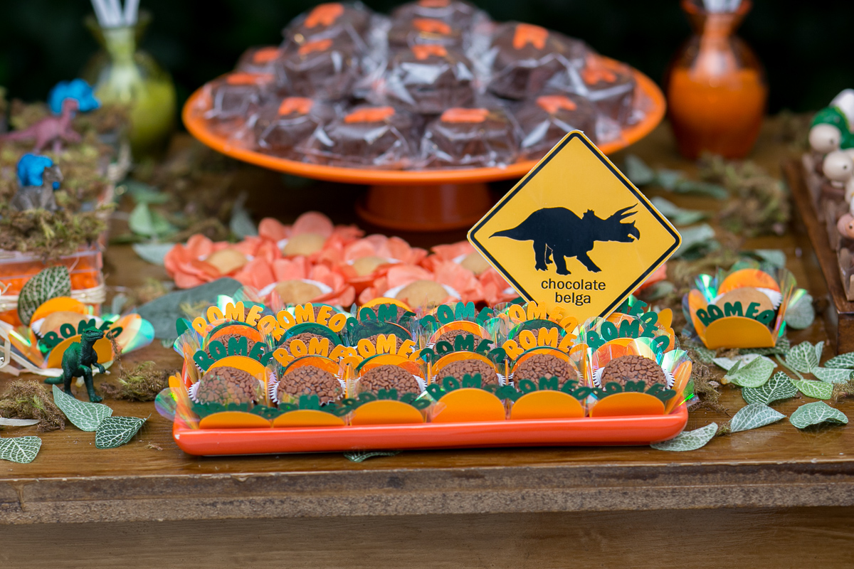 festa infantil, rio de janeiro, festa de menino, dinossauros, decoração, família, bolo, parabéns, fotografia de família