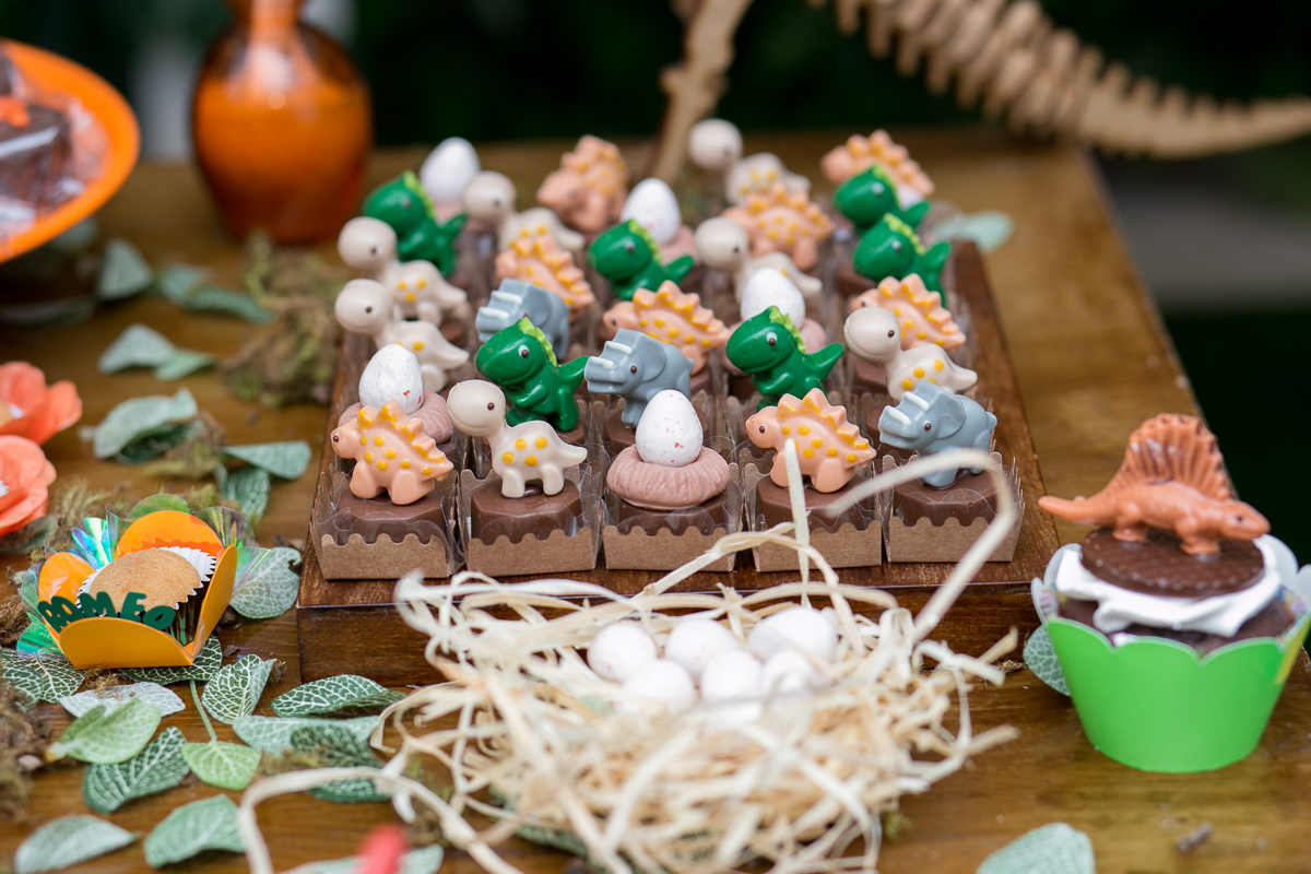 festa infantil, rio de janeiro, festa de menino, dinossauros, decoração, família, bolo, parabéns, fotografia de família