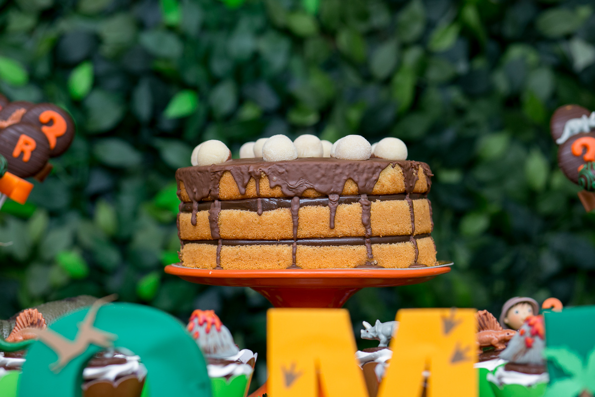 festa infantil, rio de janeiro, festa de menino, dinossauros, decoração, família, bolo, parabéns, fotografia de família