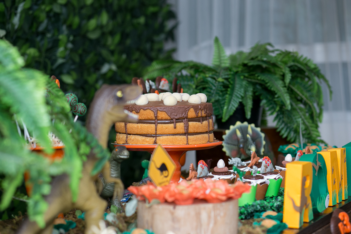 festa infantil, rio de janeiro, festa de menino, dinossauros, decoração, família, bolo, parabéns, fotografia de família