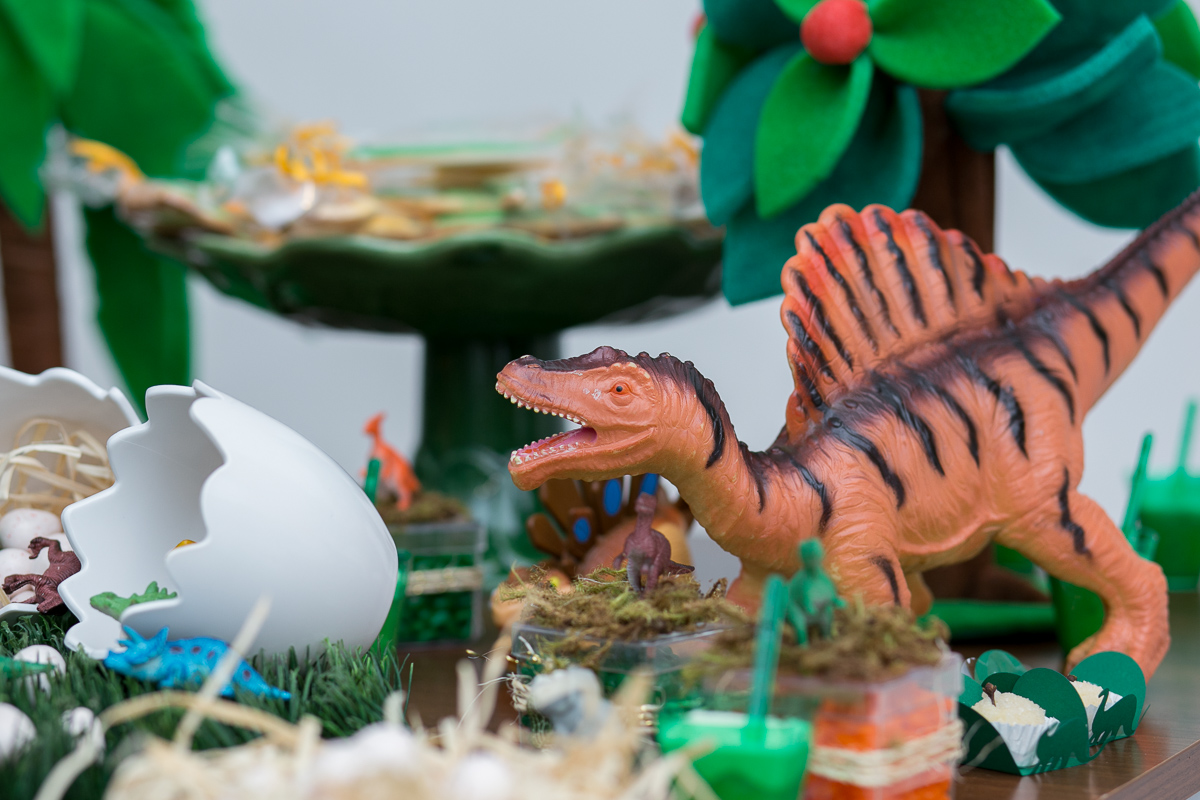 festa infantil, rio de janeiro, festa de menino, dinossauros, decoração, família, bolo, parabéns, fotografia de família
