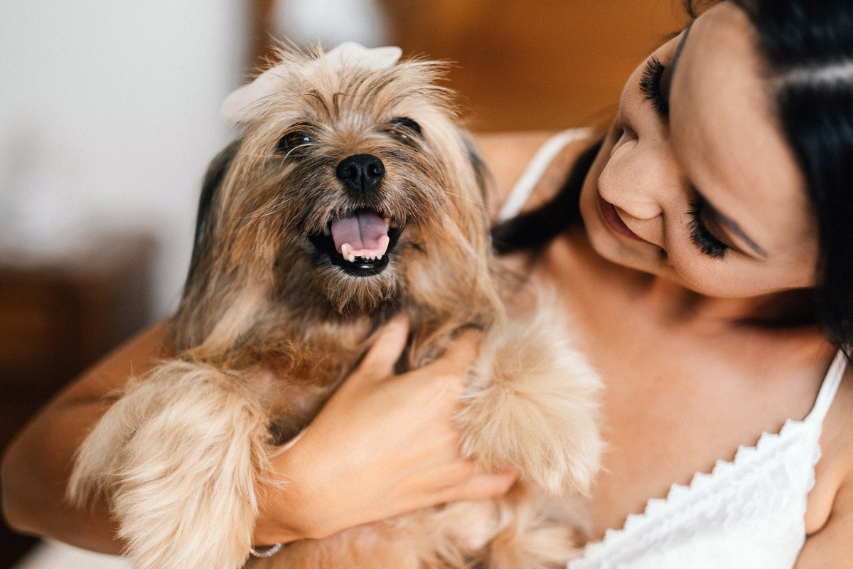 noiva; casamento; penafiel; quinta vale de campos; wedding; cão; animal