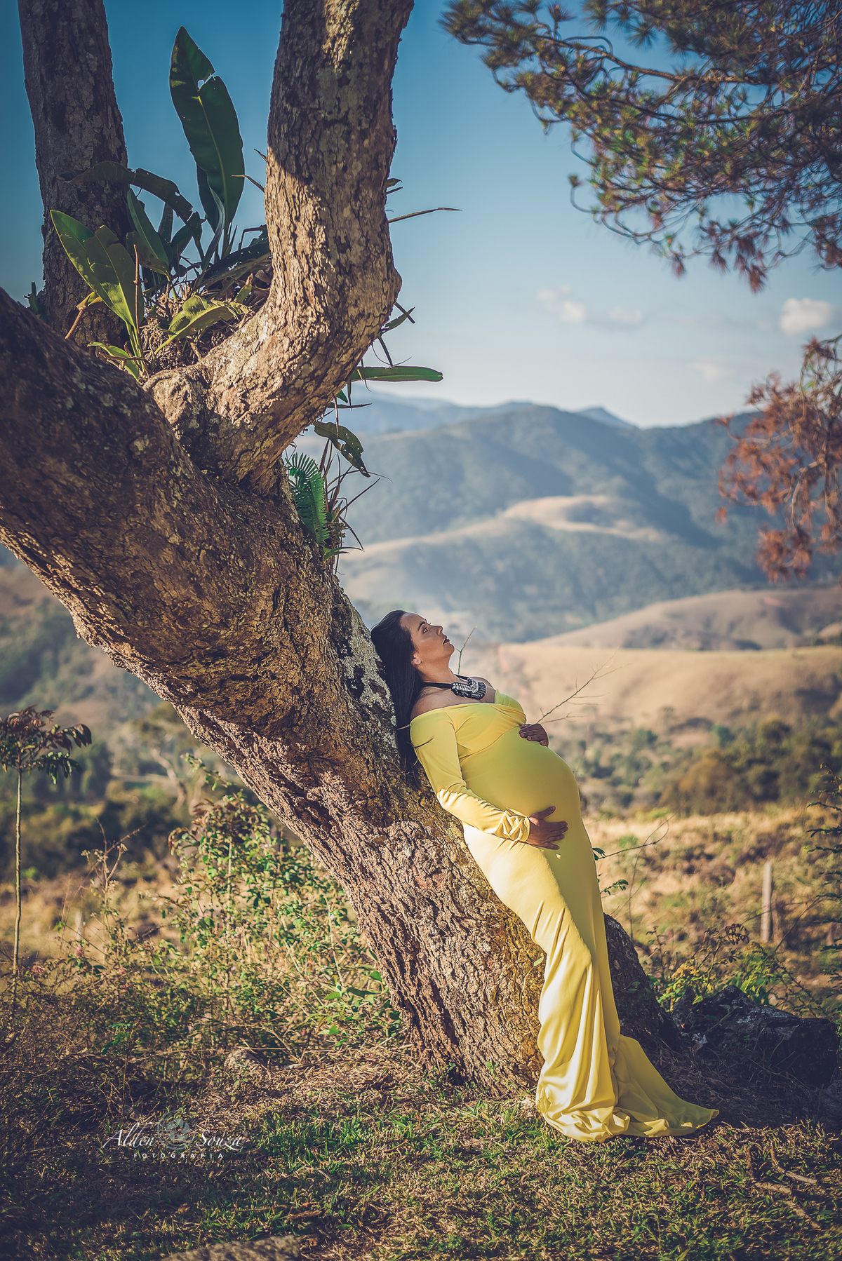 Foto de gestante deitada na arvore