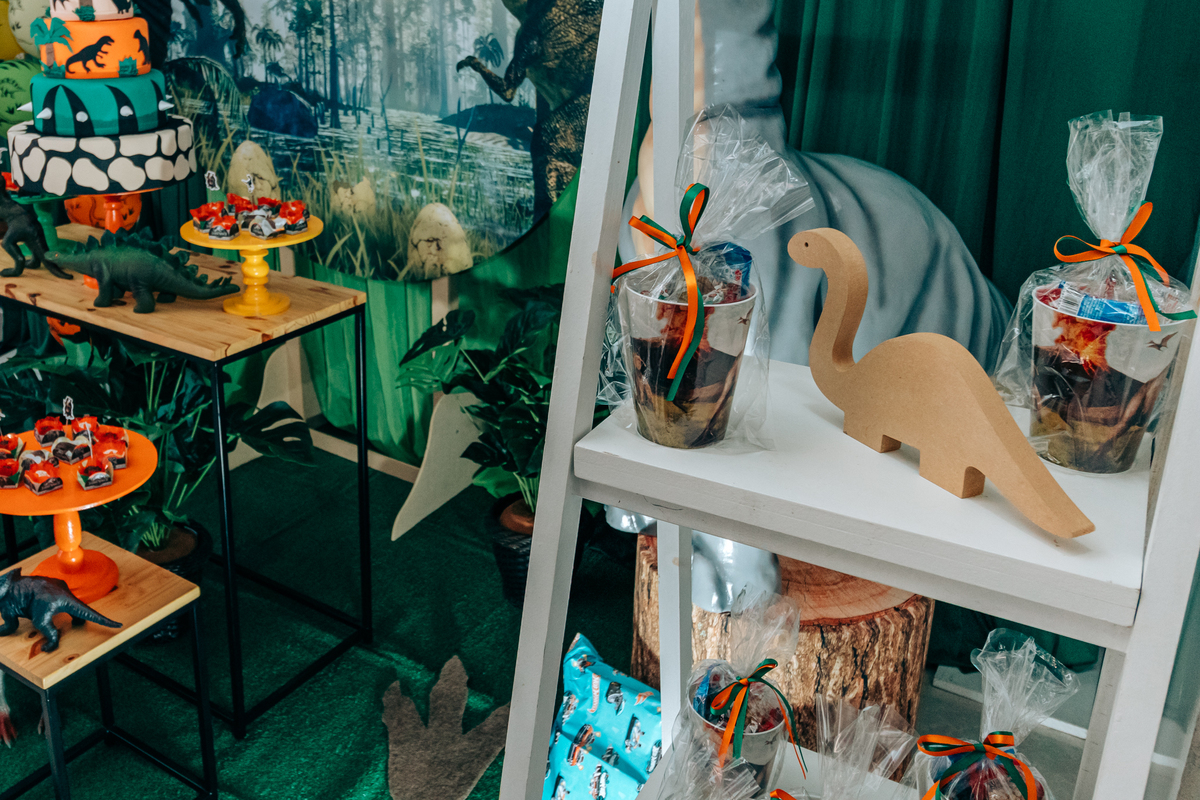 Fotógrafa fotografo de festa infantil aniversário florianópolis são josé palhoça biguaçu sc tema dinossauro decoração