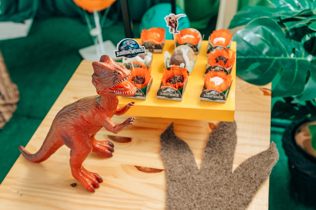 Fotógrafa fotografo de festa infantil aniversário florianópolis são josé palhoça biguaçu sc tema dinossauro decoração