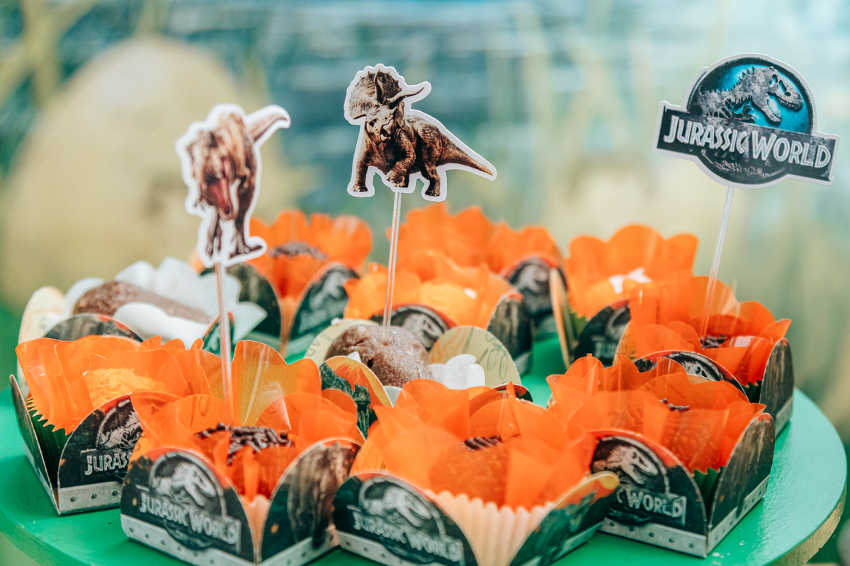 Fotógrafa fotografo de festa infantil aniversário florianópolis são josé palhoça biguaçu sc tema dinossauro decoração