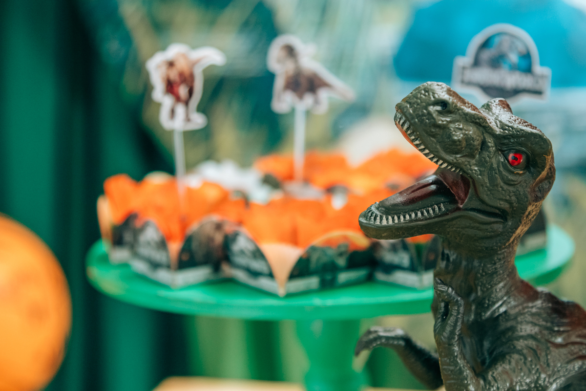 Fotógrafa fotografo de festa infantil aniversário florianópolis são josé palhoça biguaçu sc tema dinossauro decoração
