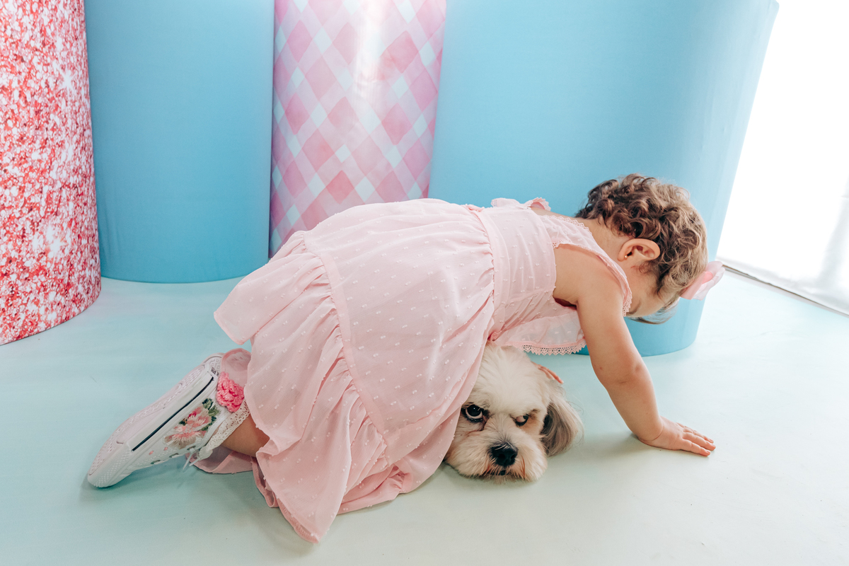 Aniversário infantil decoração luxo galinha pintadinha 1 ano em florianopolis sc scotti produções fotografa thayane peters fotografia especializada em familias doces personalizados dog pet cachorro