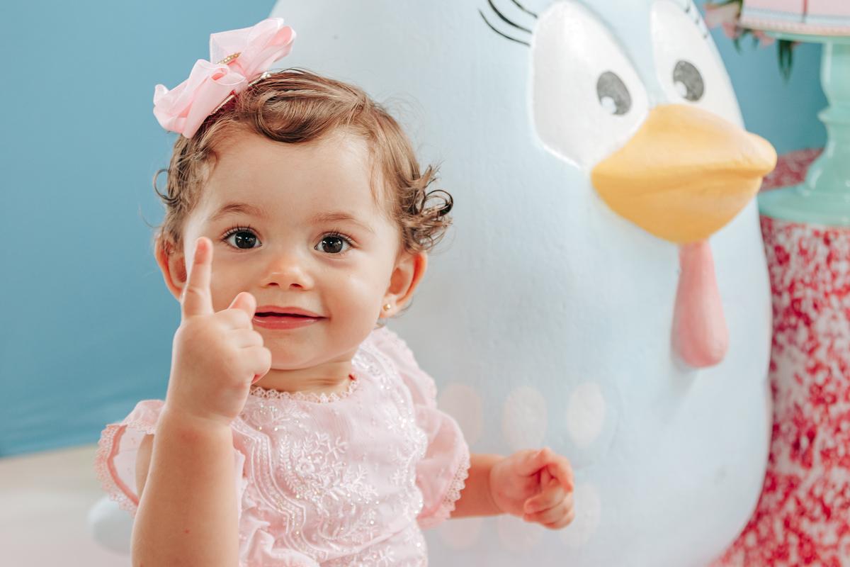 Aniversário infantil decoração luxo galinha pintadinha 1 ano em florianopolis sc scotti produções fotografa thayane peters fotografia especializada em familias doces 