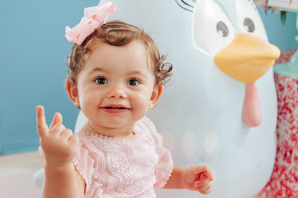 Aniversário infantil decoração luxo galinha pintadinha 1 ano em palhoça florianopolis sc scotti produções fotografa thayane peters fotografia especializada em familias doces personalizados
