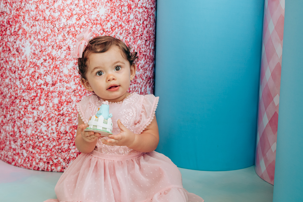 Aniversário infantil decoração luxo galinha pintadinha 1 ano em florianopolis sc scotti produções fotografa thayane peters fotografia especializada em familias doces personalizados