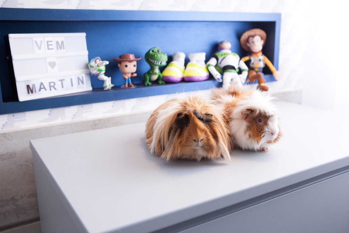 ensaio gestante moderno, ensaio gestante sp,  ensaio gestante com marido, ensaio gestante tatuapé. gestante, ensaio gestante mooca, ensaio gestante simples, mamãe de primeira viagem, ensaio gestante estúdio, foto gestante com pet,
foto gestante casual