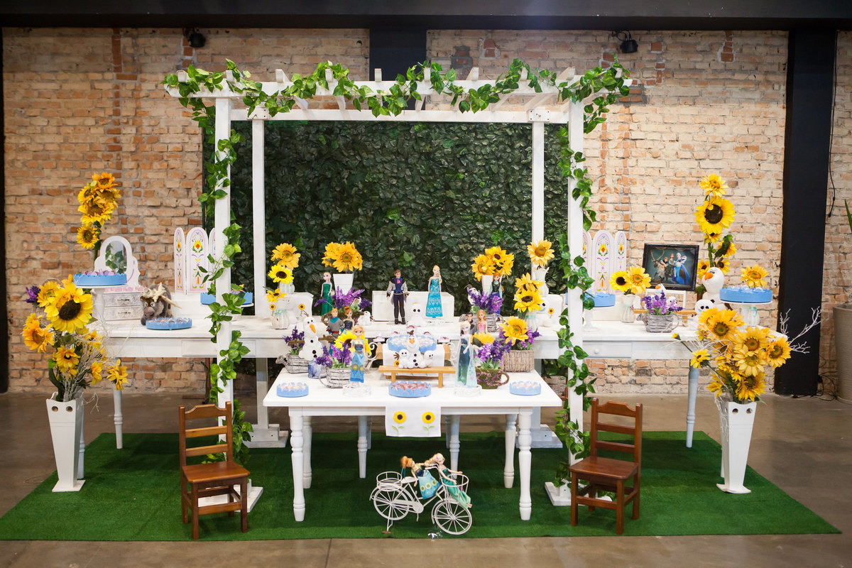 festa infantil menina, espaço climbers , fotografo de criança