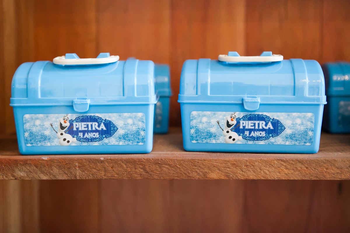 festa infantil menina, espaço climbers , fotografo de criança