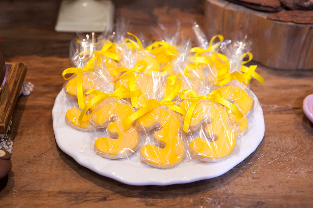 festa infantil, aniversário de 3 anos, menina, casa x , ipiranga , fotografo de criança e bebê , leão studio , flavio leao , xuxa, decoração festa marsha e o urso