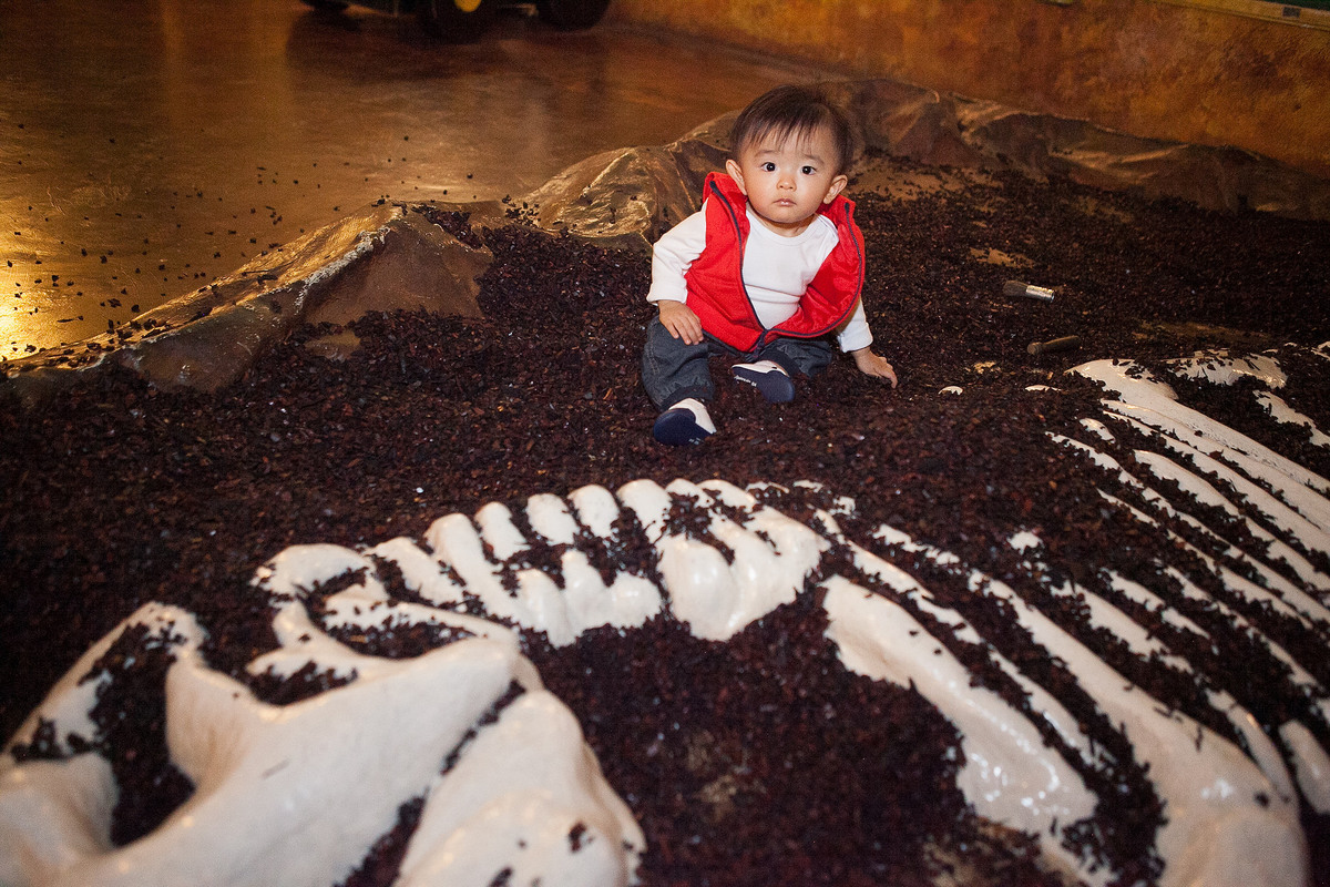 Festa de menino, aniversário de criança, 1 ano, buffet miniland, tatuapé, criança brincando, brinquedos educativos