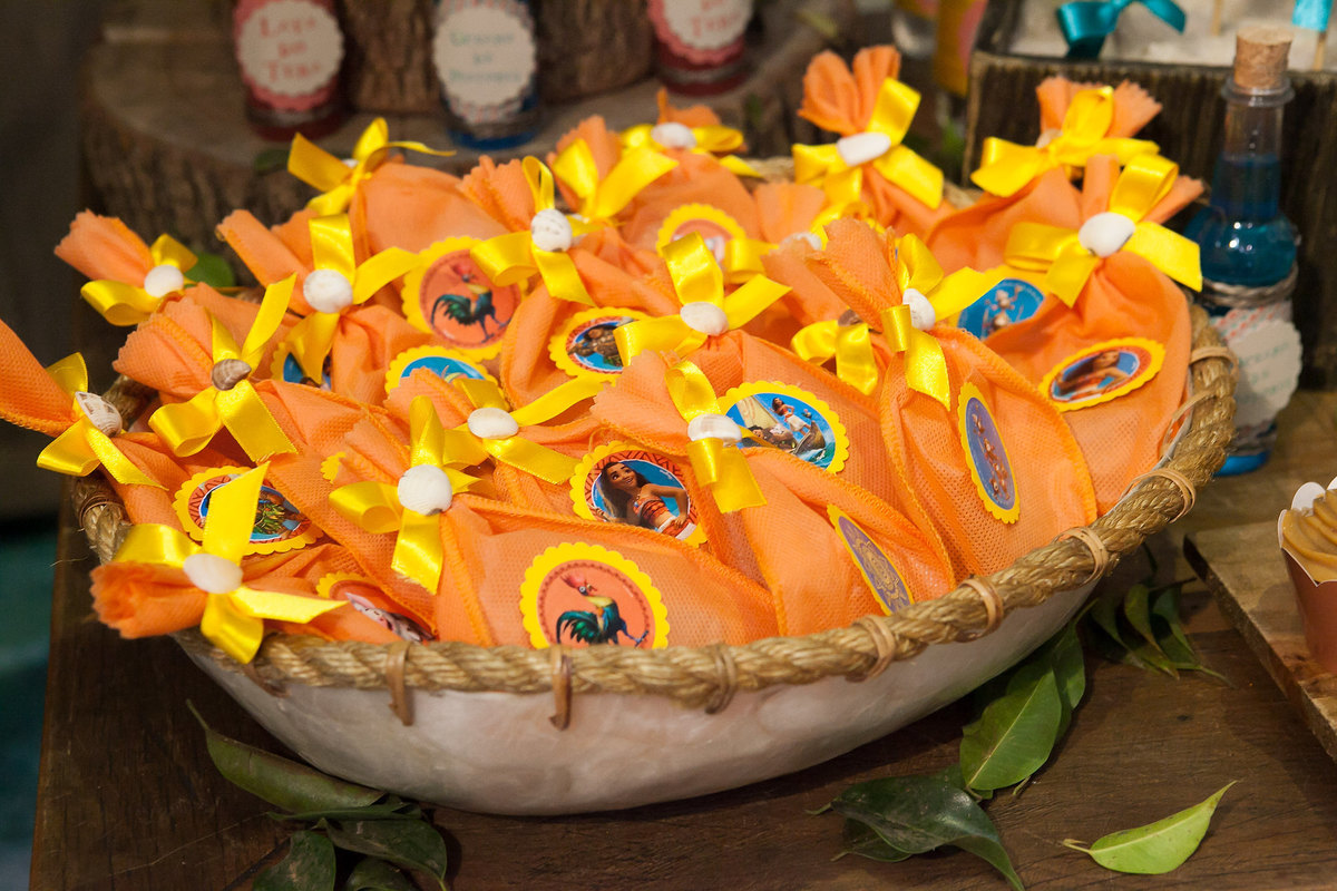 festa menina, buffet Miniland, aniversário de 4 anos, festa divertida, tatuapé, brinquedos educativos , moana , decoração infantil , marcia colonese