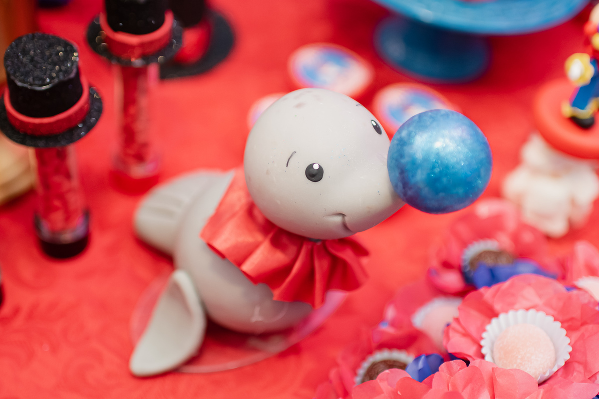 circo, palhaco, Smash the cake volta redonda barra mansa Fotografia Fotografo Festa Infantil 1 ano 1 aninho mamae papai ensaio aniversario  tictac festa salao