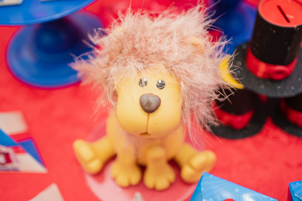 circo, palhaco, Smash the cake volta redonda barra mansa Fotografia Fotografo Festa Infantil 1 ano 1 aninho mamae papai ensaio aniversario  tictac festa salao