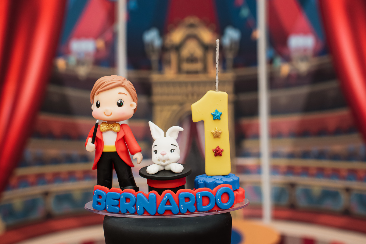 circo, palhaco, Smash the cake volta redonda barra mansa Fotografia Fotografo Festa Infantil 1 ano 1 aninho mamae papai ensaio aniversario  tictac festa salao