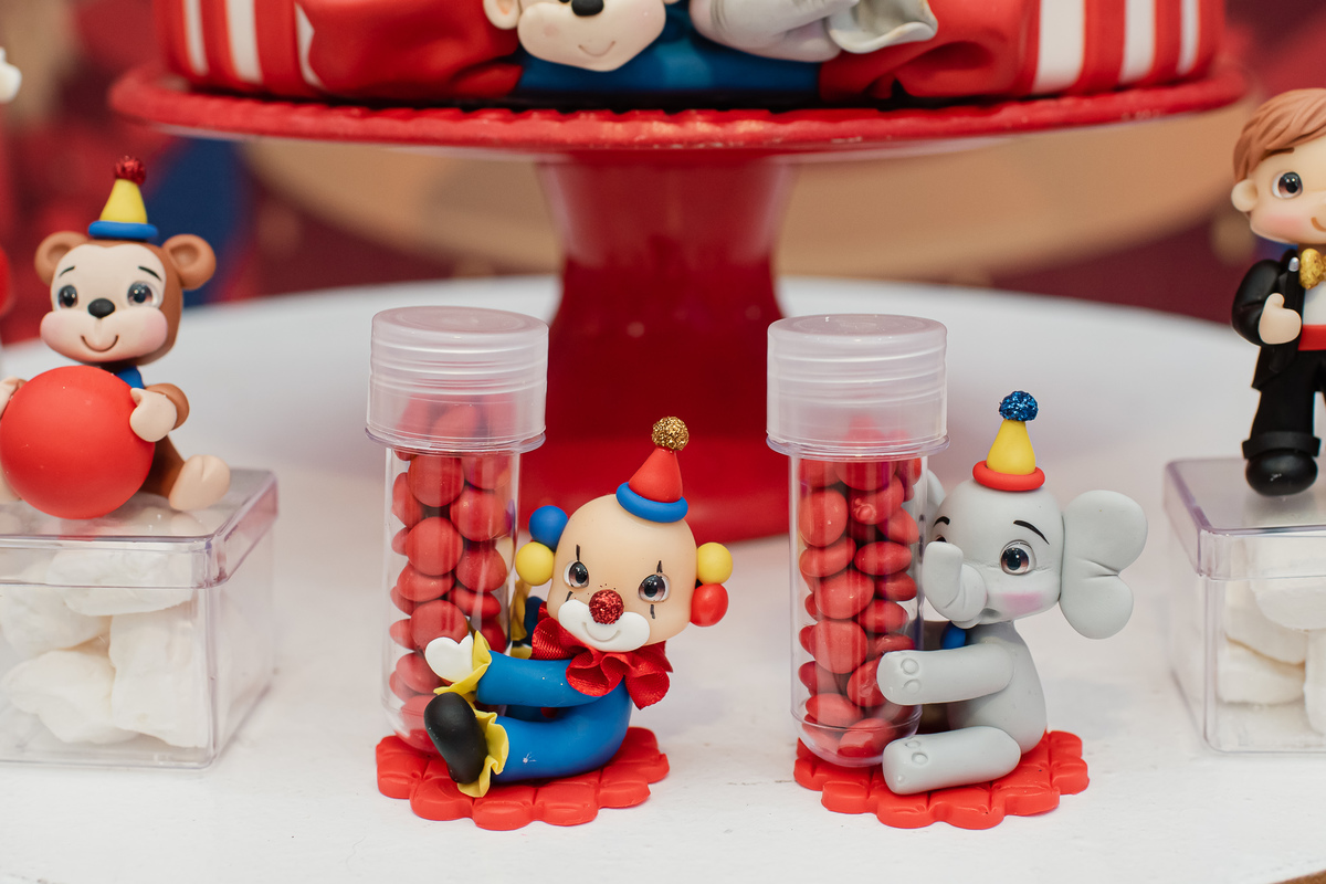 circo, palhaco, Smash the cake volta redonda barra mansa Fotografia Fotografo Festa Infantil 1 ano 1 aninho mamae papai ensaio aniversario  tictac festa salao