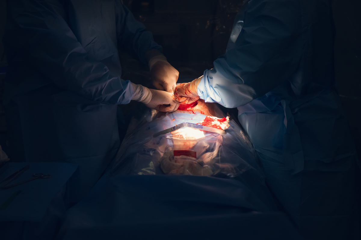 parto, cessaria, mamãe, papai, mãe, pai saúde, família, amor, menina, menino, gravidez, fotografia, barra mansa, volta redonda, rio de janeiro, pediatra, semana, hospital, unimed, pós parto, Ravi