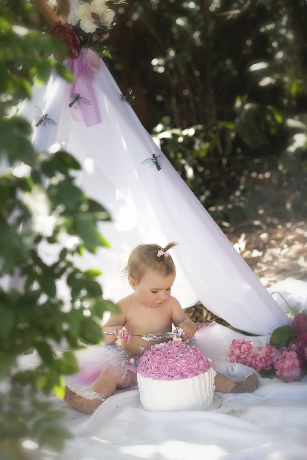 Smash The Cake da Ana Clara