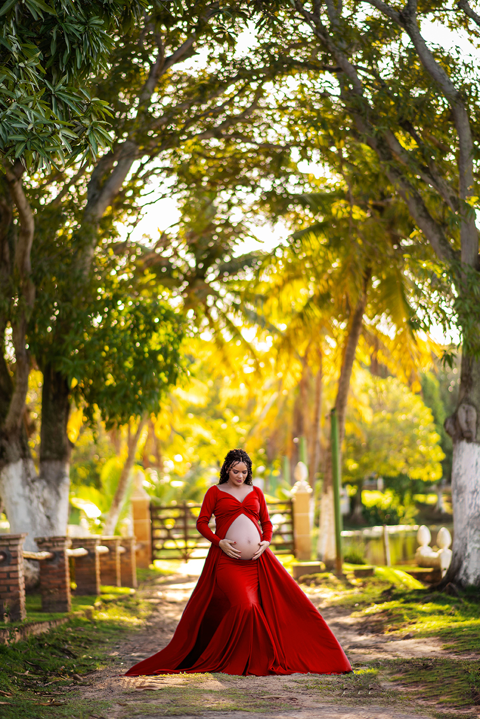 cha revelação maceio